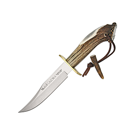 Muela Cazorla Bowie: BK-CICA16