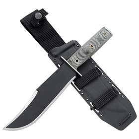 Condor Operator Bowie: BK-CTK180675