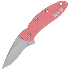 Kershaw Chive Framelock A/O Pink: BK-KS1600P