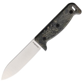 Ontario Black Bird ML5: BK-ON7502