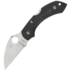 Spyderco Dragonfly 2 Lockback: BK-SC28FPWCBK2