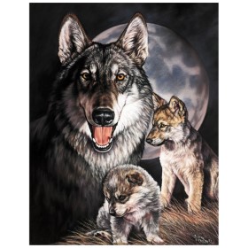 Tin Signs Graham Wolf Experience: BK-TSN0914