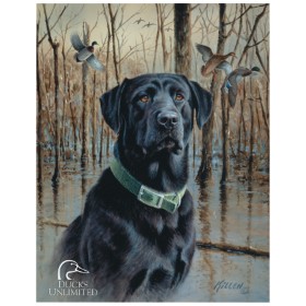Tin Signs Ducks Unlimited: BK-TSN1203