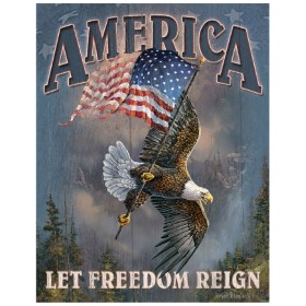 Tin Signs Let Freedom Reign: BK-TSN1668