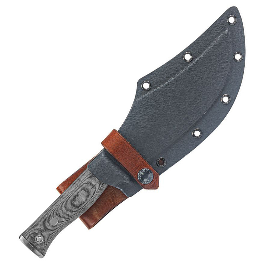 Condor Gryphus Bowie: BK-CTK2015675HCV3