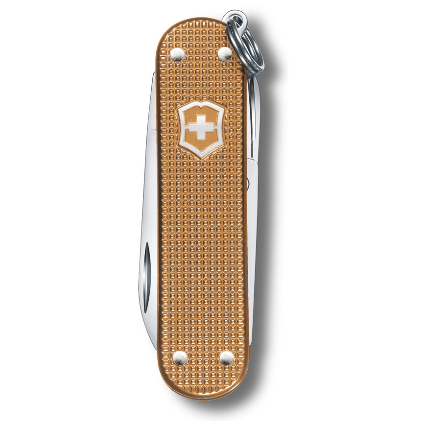 Victorinox Classic SD Alox Wet Sand: BK-VN06221255GV3